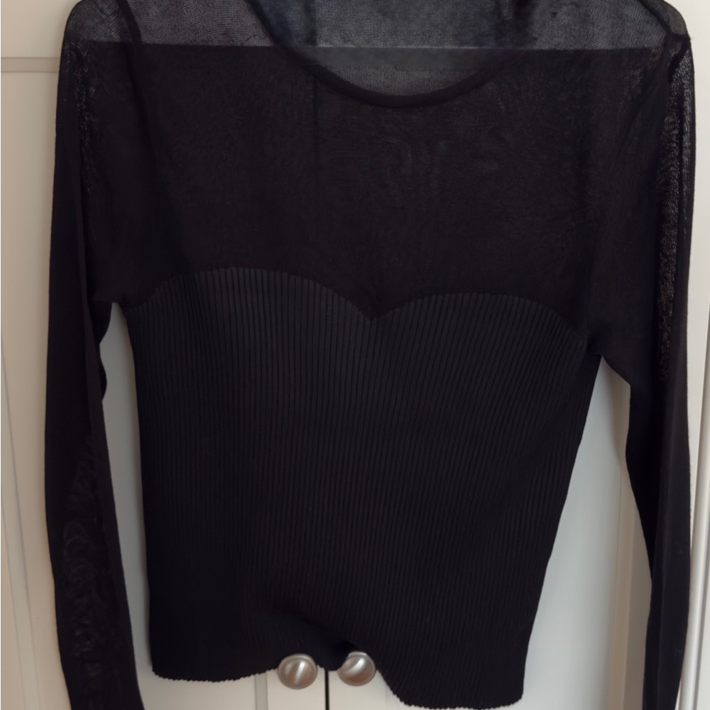 Chic Black Sheer Long Sleeve Top